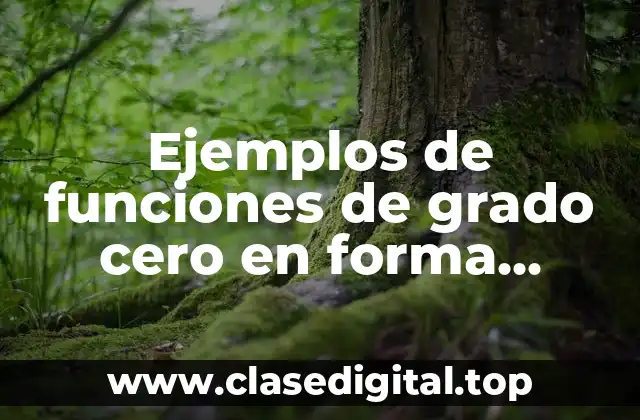 Ejemplos de funciones de grado cero en forma práctica
