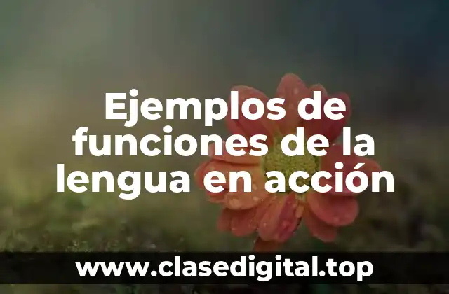 Ejemplos de funciones de la lengua en acción