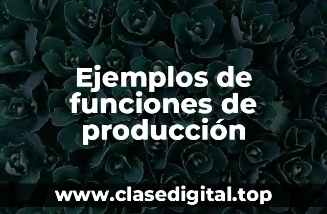 Ejemplos de funciones de producción