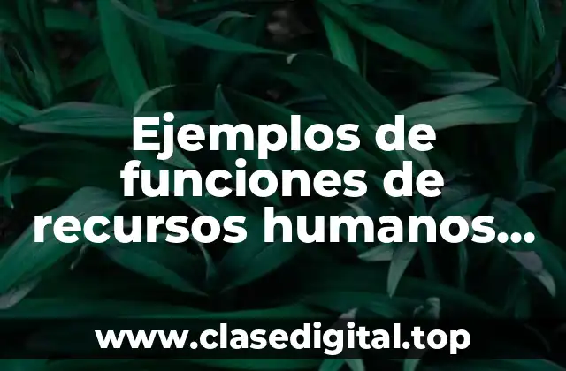 Ejemplos de funciones de recursos humanos en una escuela y Significado