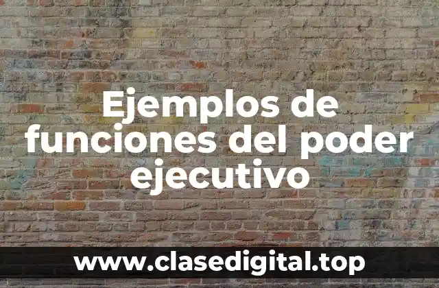 Ejemplos de funciones del poder ejecutivo