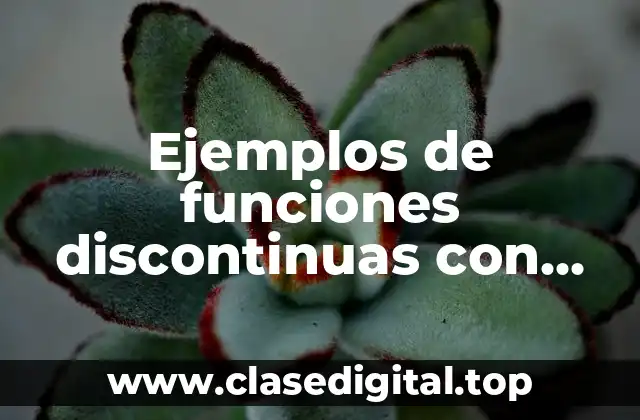 Ejemplos de funciones discontinuas con gráficas