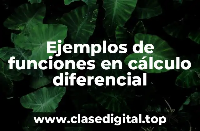 Ejemplos de funciones en cálculo diferencial
