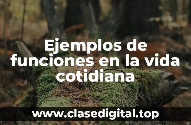 Ejemplos de funciones en la vida cotidiana