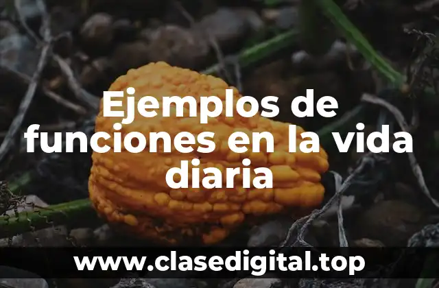 Ejemplos de funciones en la vida diaria
