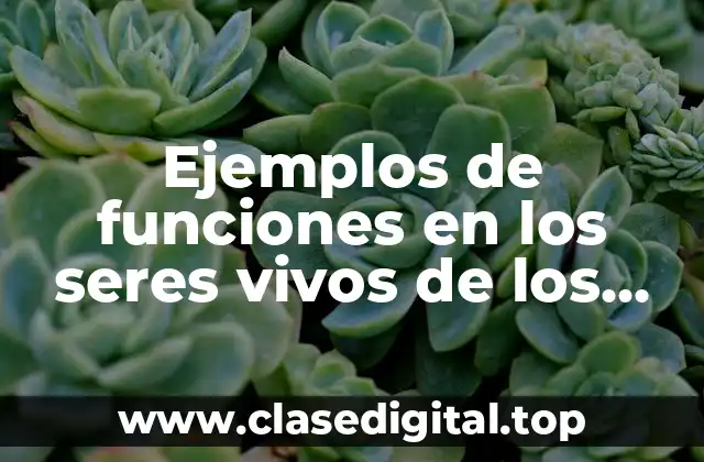 Ejemplos de funciones en los seres vivos de los fosfolipidos y Significado