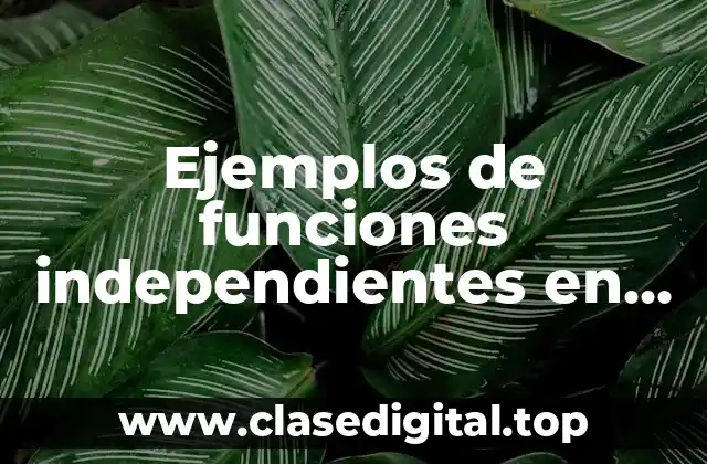 Ejemplos de funciones independientes en enfermería