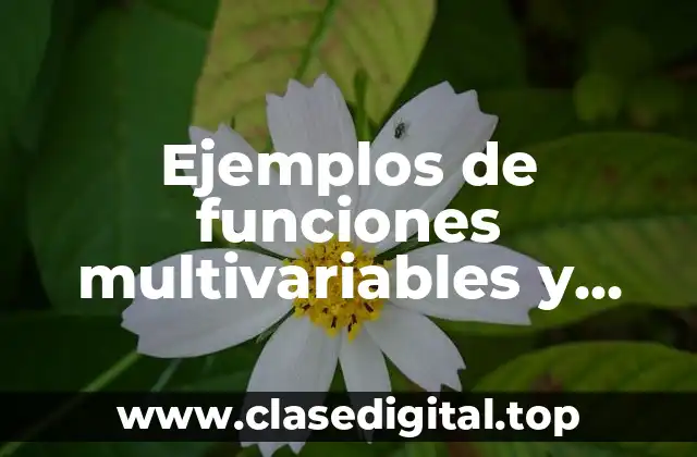 Ejemplos de funciones multivariables y Significado