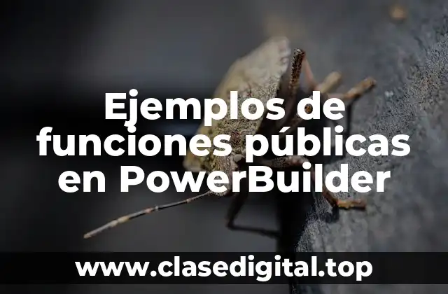 Ejemplos de funciones públicas en PowerBuilder
