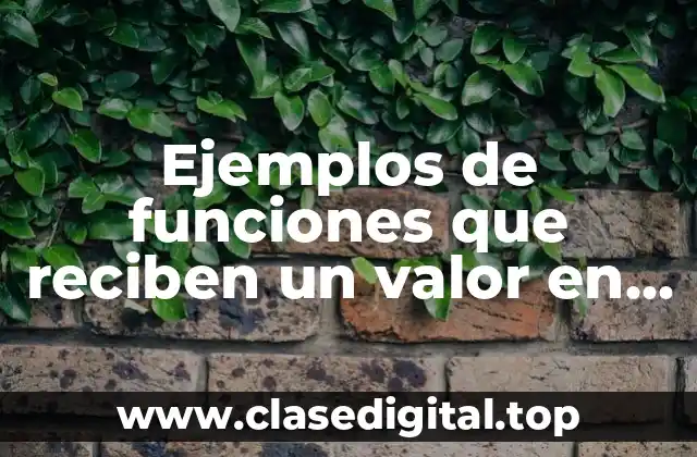 Ejemplos de funciones que reciben un valor en poo