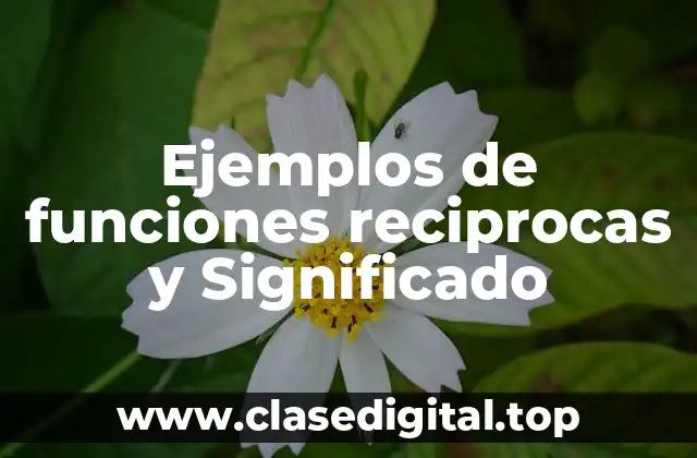 Ejemplos de funciones reciprocas y Significado