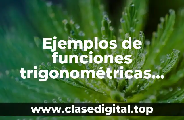 Ejemplos de funciones trigonométricas resueltos con gráficas