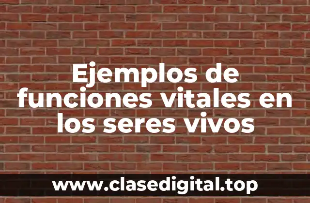 Ejemplos de funciones vitales en los seres vivos