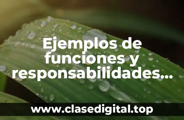 Ejemplos de funciones y responsabilidades de una empresa
