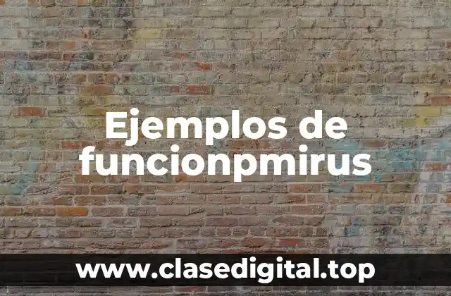 Ejemplos de funcionpmirus