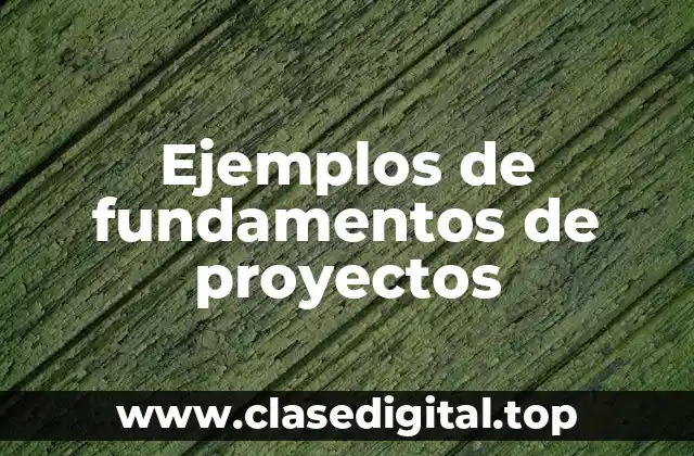 Ejemplos de fundamentos de proyectos