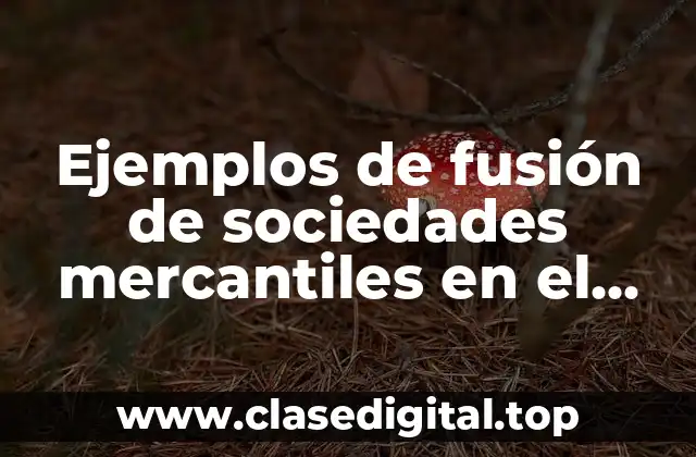 Ejemplos de fusión de sociedades mercantiles en el mundo y Significado