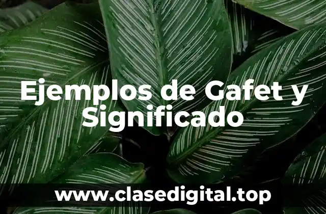 Ejemplos de Gafet y Significado