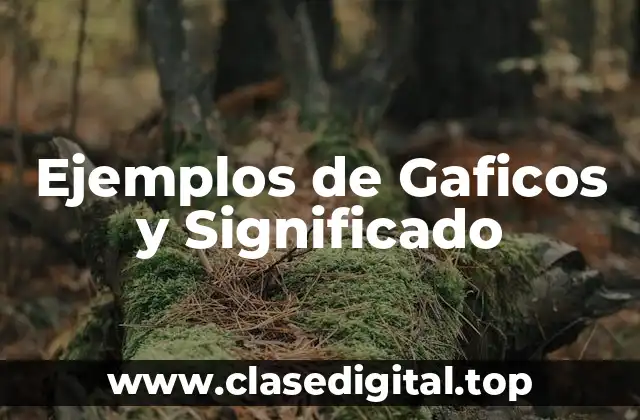 Ejemplos de Gaficos y Significado