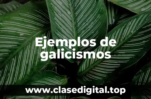 Ejemplos de galicismos