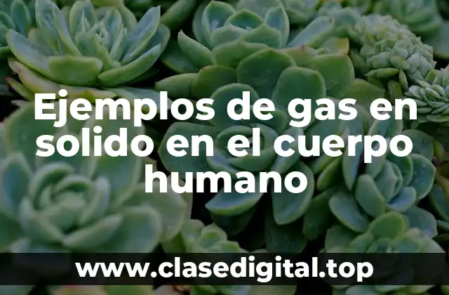 Ejemplos de gas en solido en el cuerpo humano