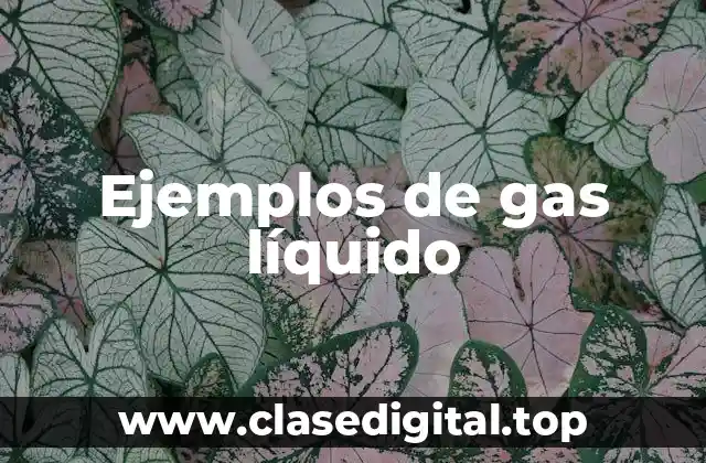Ejemplos de gas líquido
