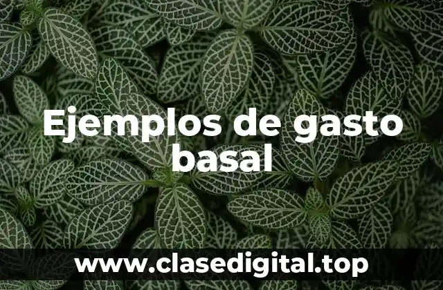 Ejemplos de gasto basal