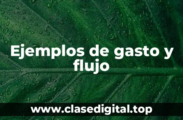 Ejemplos de gasto y flujo