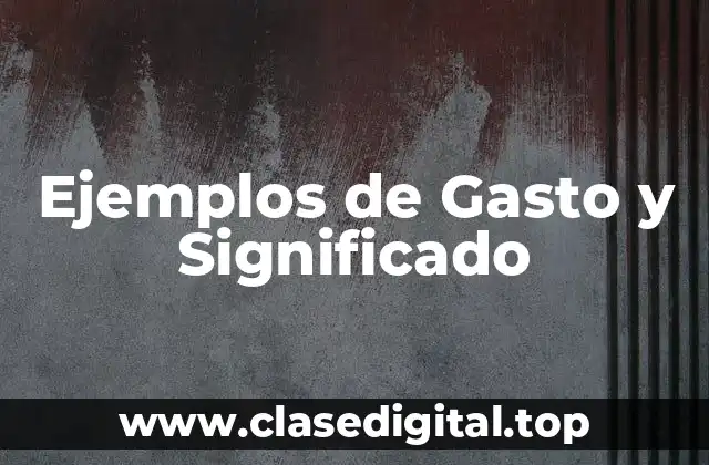 Ejemplos de Gasto