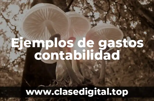 Ejemplos de gastos contabilidad