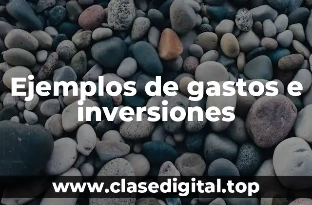 Ejemplos de gastos e inversiones