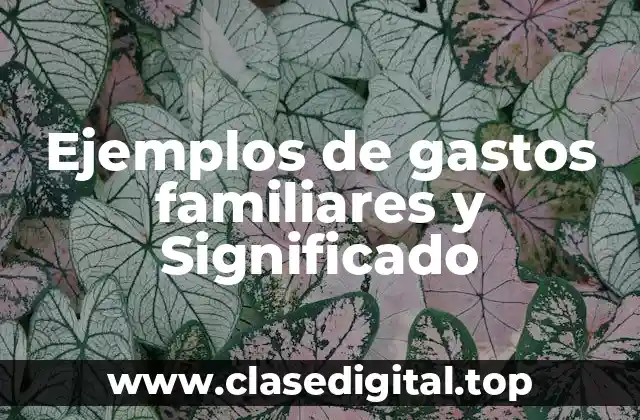 Ejemplos de gastos familiares y Significado