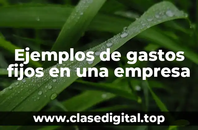 Ejemplos de gastos fijos en una empresa
