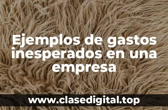 Ejemplos de gastos inesperados en una empresa