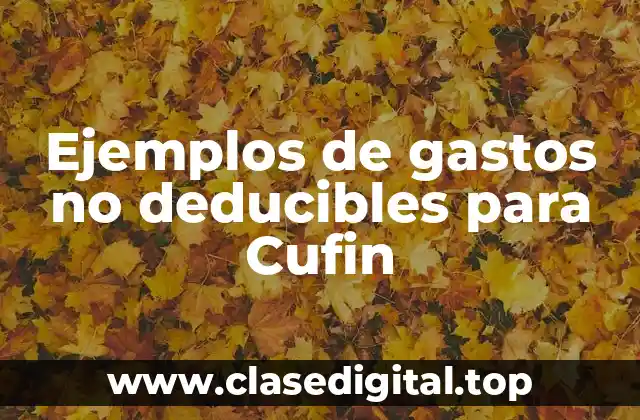 Ejemplos de gastos no deducibles para Cufin