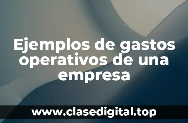 Ejemplos de gastos operativos