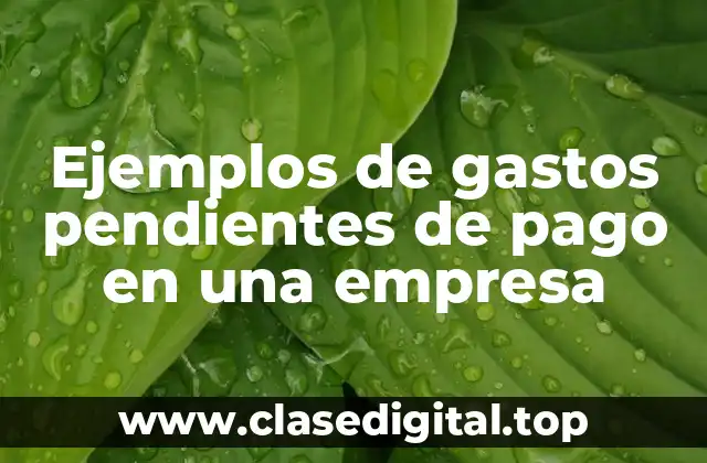 Ejemplos de gastos pendientes de pago en una empresa