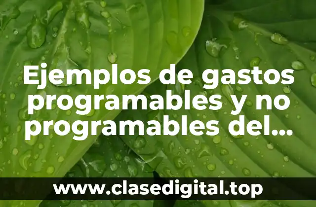 Ejemplos de gastos programables y no programables del gobierno federal y Significado