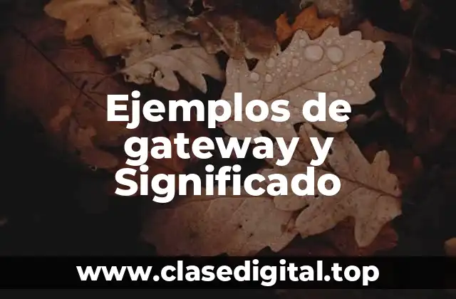 Ejemplos de gateway y Significado