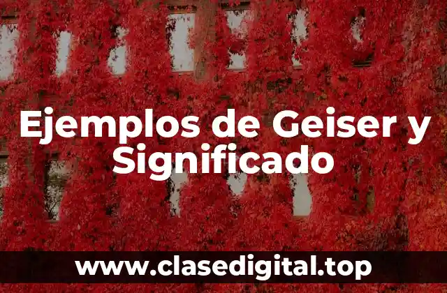 Ejemplos de Geiser y Significado