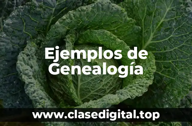 Ejemplos de Genealogía