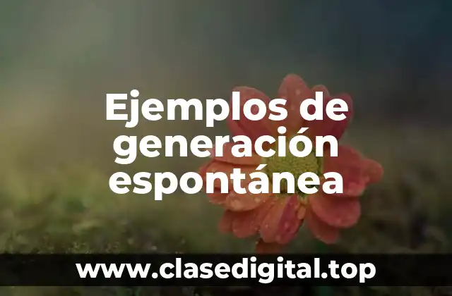 Ejemplos de generación espontánea