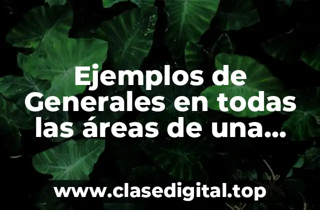 Ejemplos de Generales en todas las áreas de una empresa y Significado