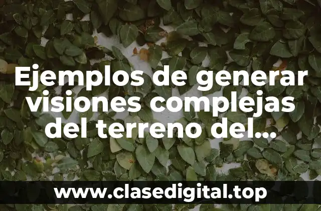 Ejemplos de generar visiones complejas del terreno del trabajo