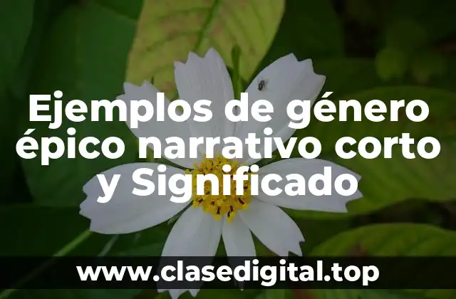 Ejemplos de género épico narrativo corto y Significado