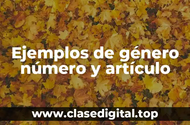Ejemplos de género número y artículo