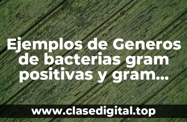 Ejemplos de Generos de bacterias gram positivas y gram negativas