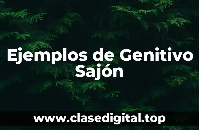Ejemplos de Genitivo Sajón