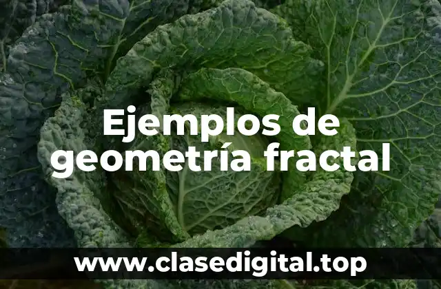 Ejemplos de geometría fractal