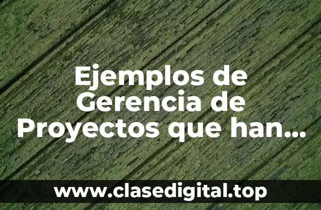 Ejemplos de Gerencia de Proyectos que han sido exitosos